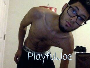 PlayfulJoe