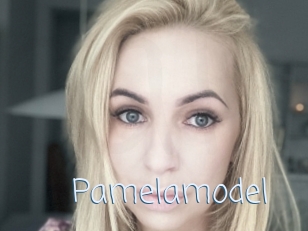 Pamelamodel