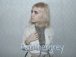 Panthergrey