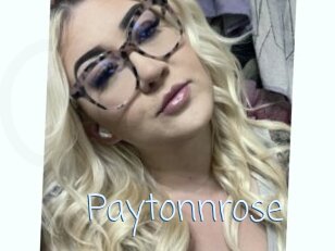 Paytonnrose