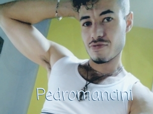 Pedromancini