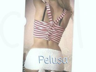 Pelusa