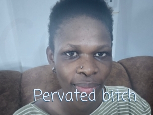 Pervated_bitch