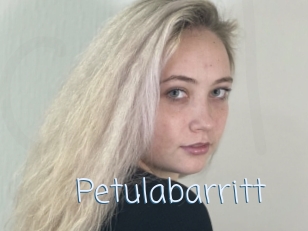 Petulabarritt