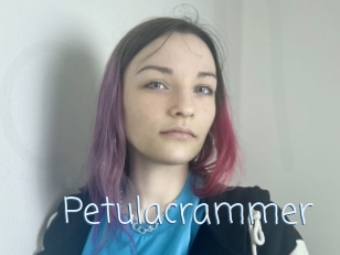 Petulacrammer