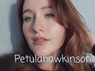 Petulahawkinson