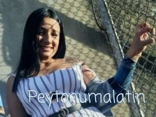 Peytonumalatin