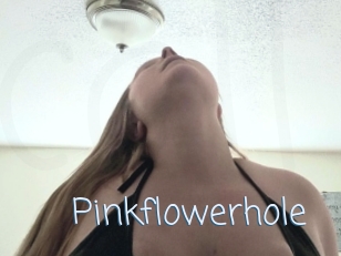 Pinkflowerhole