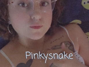 Pinkysnake