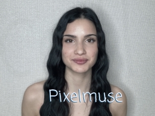 Pixelmuse