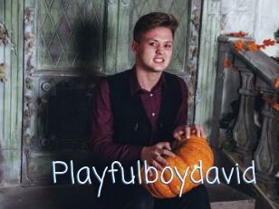 Playfulboydavid