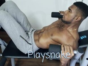 Playsnake