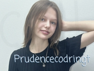 Prudencecodringt