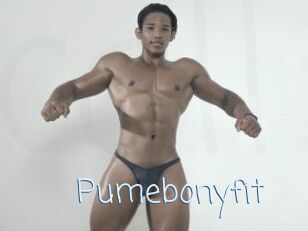 Pumebonyfit