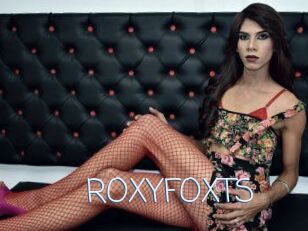 ROXY_FOX_TS