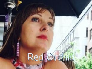 Red_Orchid