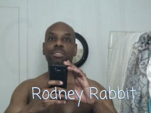 Rodney_Rabbit