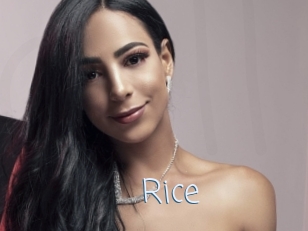 Rice
