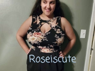 Roseiscute