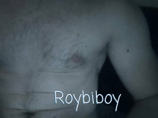 Roybiboy