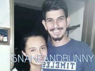 SNAKEANDBUNNY