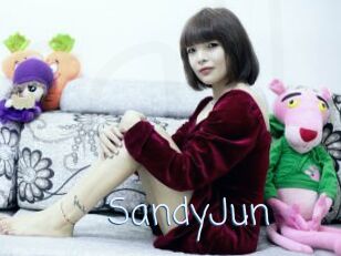 SandyJun