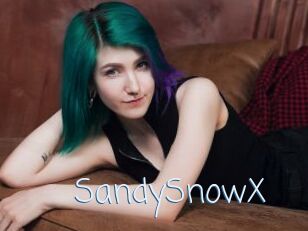 SandySnowX