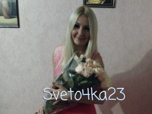 Sveto4ka23