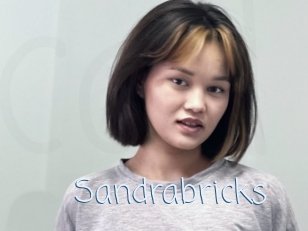 Sandrabricks