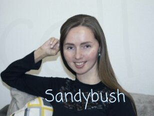 Sandybush