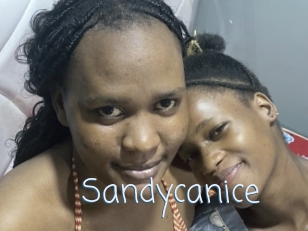 Sandycanice