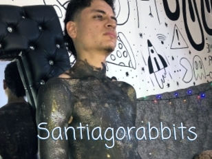 Santiagorabbits