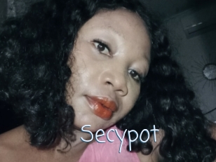 Secypot