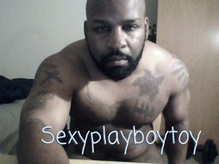 Sexyplayboytoy