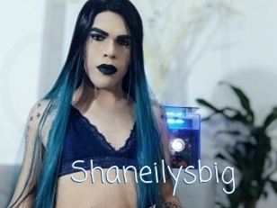 Shaneilysbig