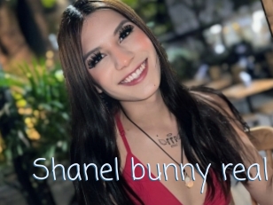 Shanel_bunny_real