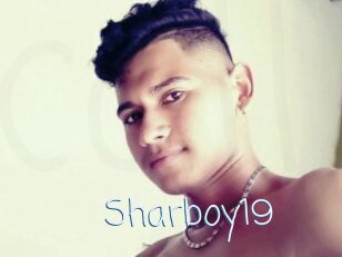 Sharboy19