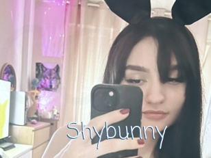 Shybunny