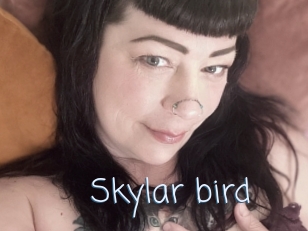 Skylar_bird