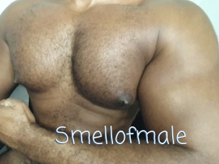 Smellofmale