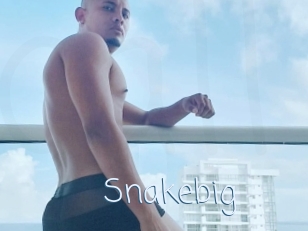 Snakebig