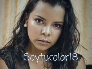 Soytucolor18