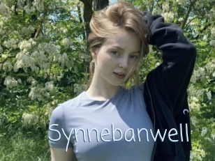 Synnebanwell