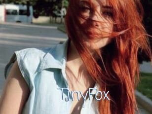 TinyFox