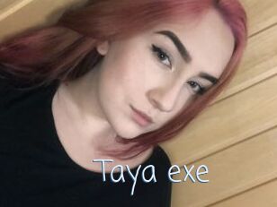 Taya_exe
