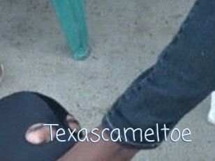 Texascameltoe