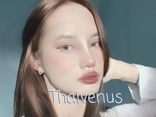 Thaivenus