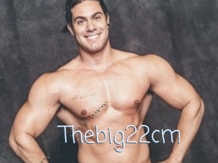 Thebig22cm