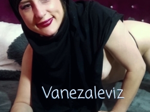 Vanezaleviz