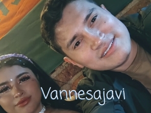 Vannesajavi